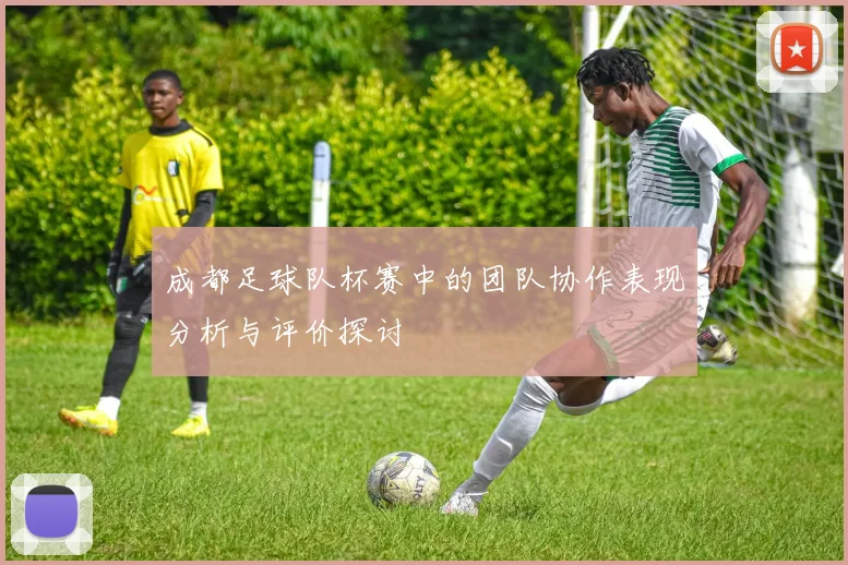 成都足球队杯赛中的团队协作表现分析与评价探讨