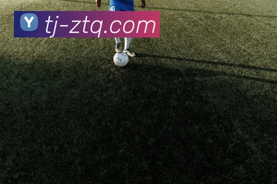 APP界面展示